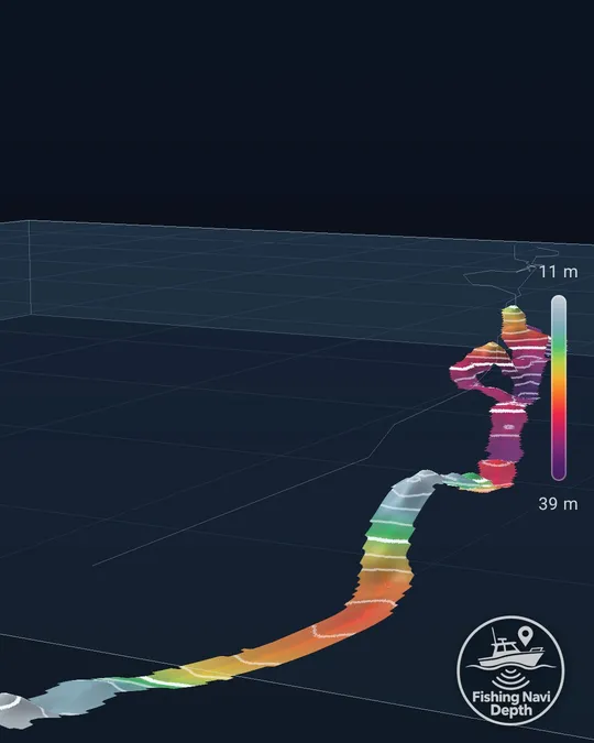 Il fondale in 3D con la scala colori delle profondità